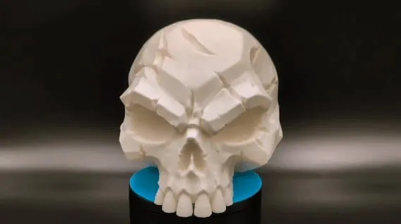 Battle-Scarred Skull - Dark Decor