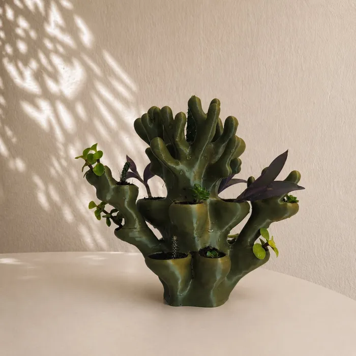Finger Coral Planter