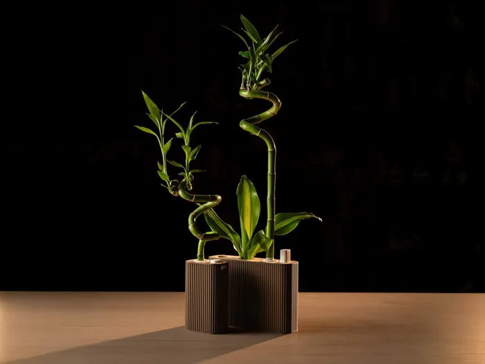 Parametric Bamboo Planter