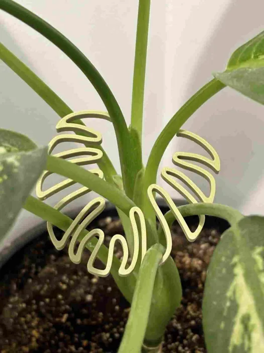 Plant Stem Support Monstera Shaped