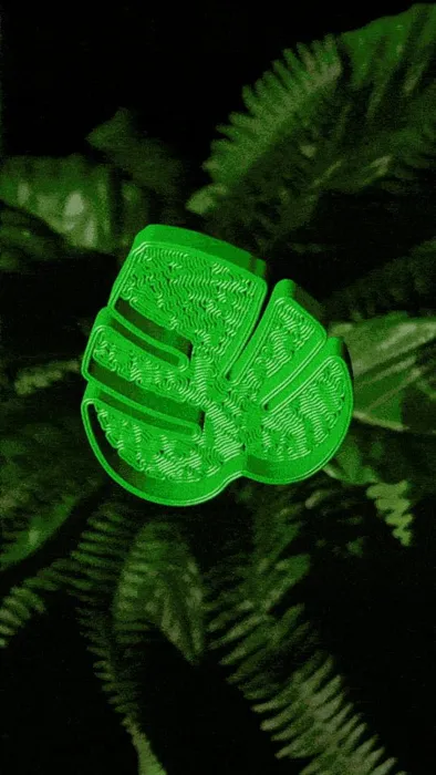 Monstera Leaf Jewelry Tray