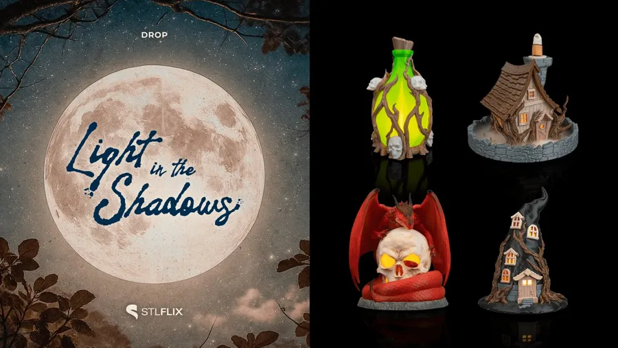 Light in the Shadows collection cover