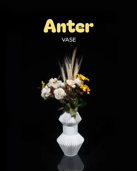 Anter Vase